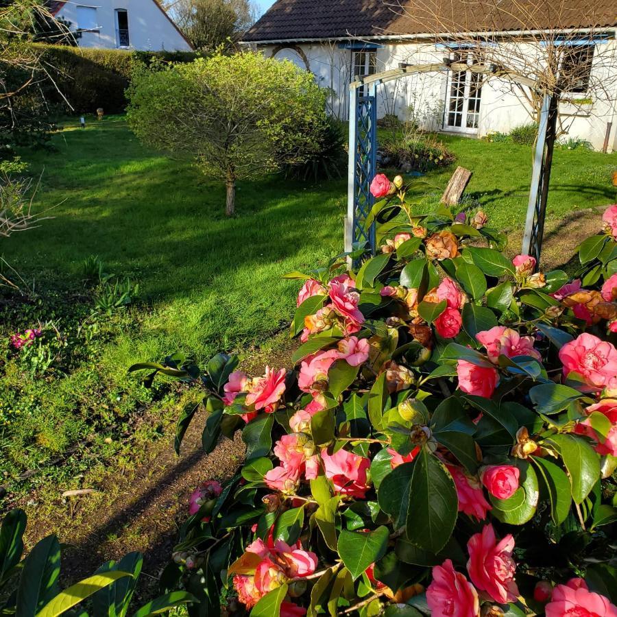 Maison Au Calme Avec Jardin Pres Du Chateau, Foret Et Plage Condette Екстериор снимка
